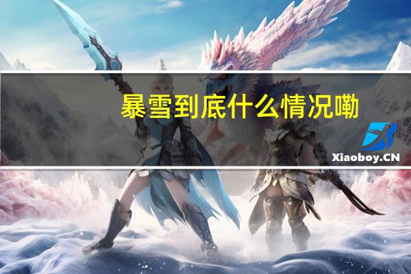 暴雪 到底什么情况嘞