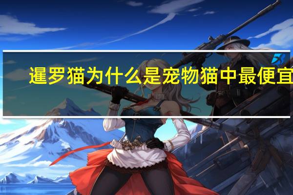 暹罗猫为什么是宠物猫中最便宜的