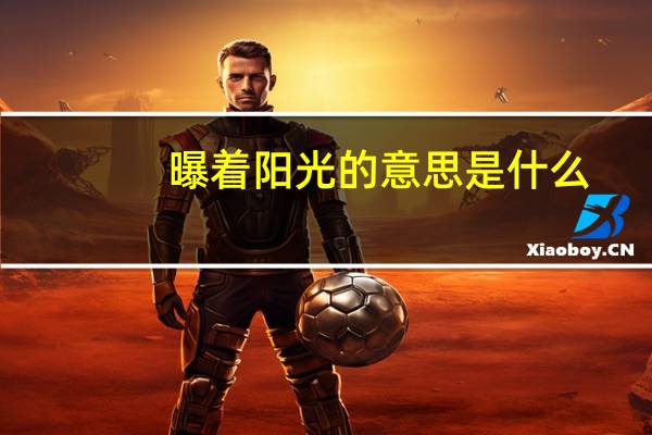 曝着阳光的意思是什么