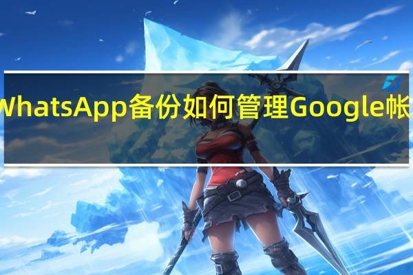 更改WhatsApp备份如何管理Google帐户上的空间