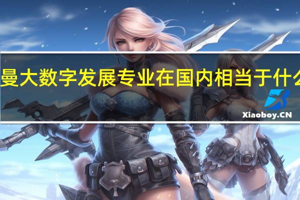 曼大数字发展专业在国内相当于什么专业