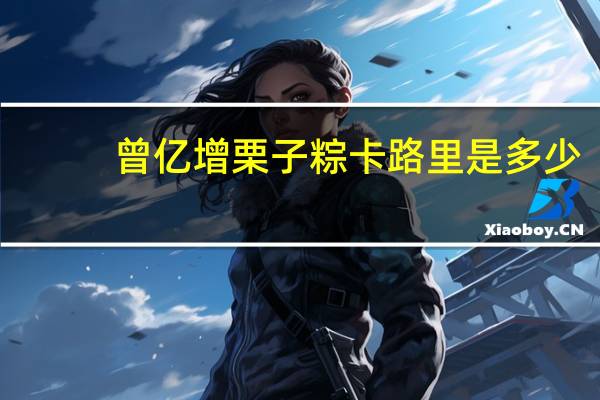 曾亿增 栗子粽卡路里是多少