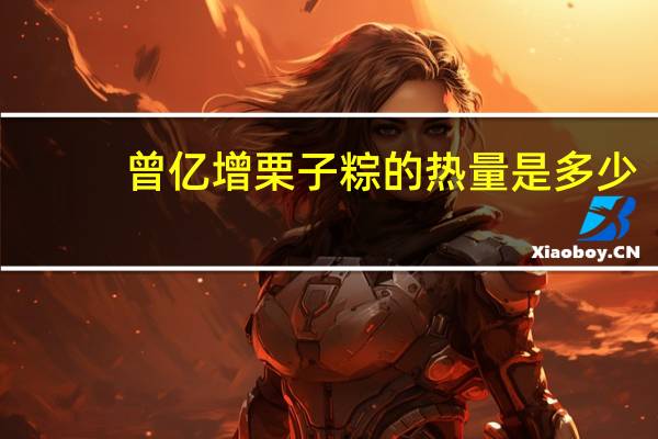 曾亿增 栗子粽的热量是多少
