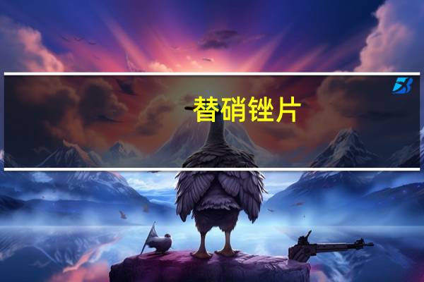 替硝锉片（替硝锉）