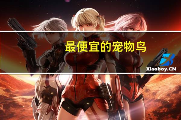 最便宜的宠物鸟