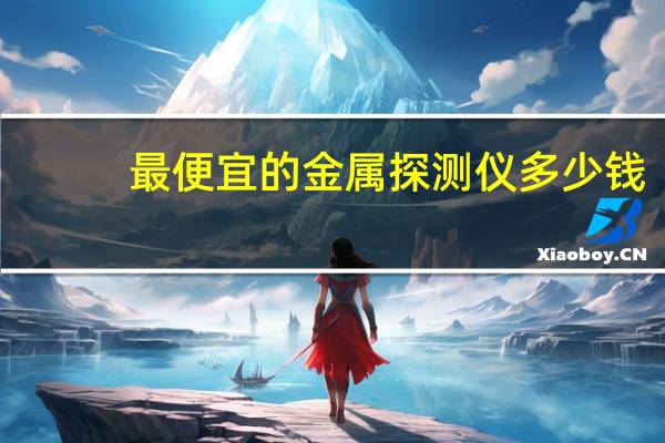 最便宜的金属探测仪多少钱