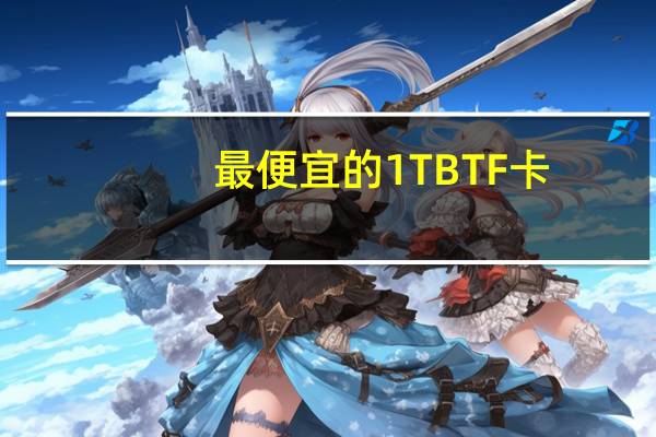 最便宜的1TB TF卡?达墨白卡体验评测