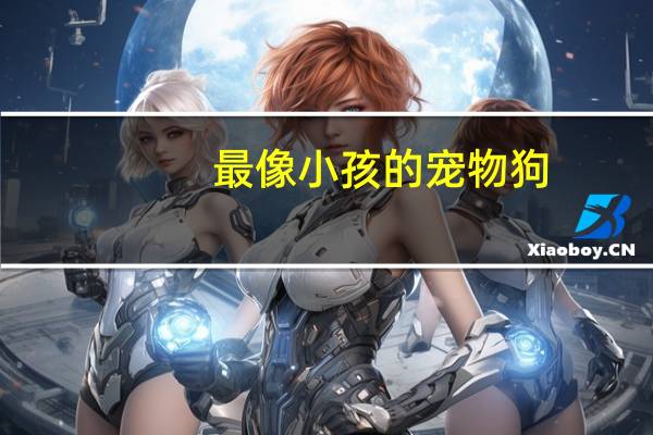 最像小孩的宠物狗