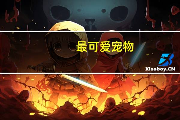 最可爱宠物