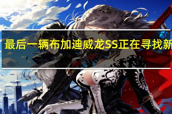 最后一辆布加迪威龙SS正在寻找新主人