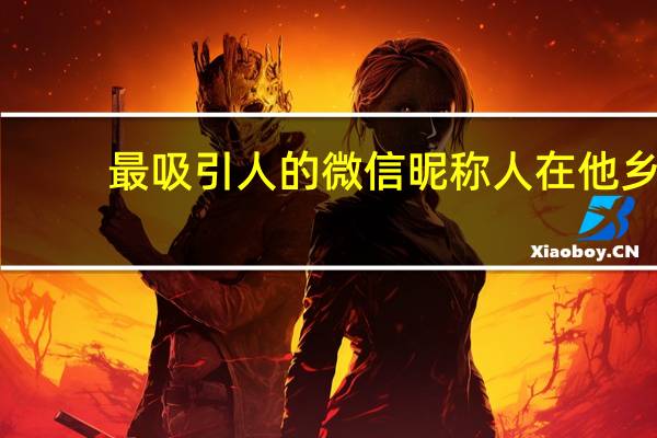 最吸引人的微信昵称人在他乡（最吸引人的微信昵称）