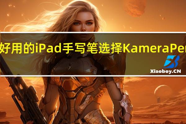 最多样好用的 iPad 手写笔选择 Kamera Pencil 开箱体验