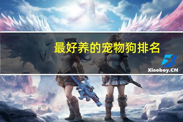 最好养的宠物狗排名