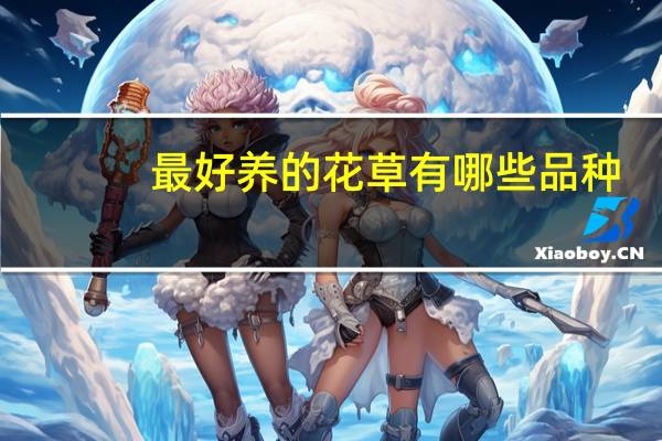最好养的花草有哪些品种