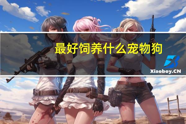 最好饲养什么宠物狗