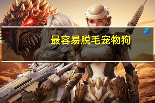 最容易脱毛宠物狗