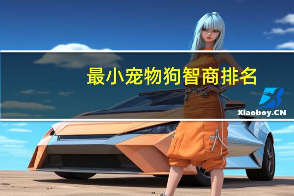 最小宠物狗智商排名