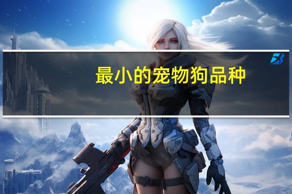 最小的宠物狗品种