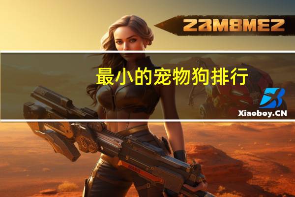 最小的宠物狗排行