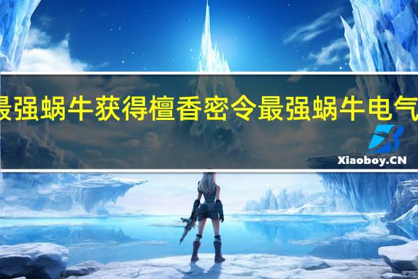 最强蜗牛获得檀香密令 最强蜗牛电气锤密令