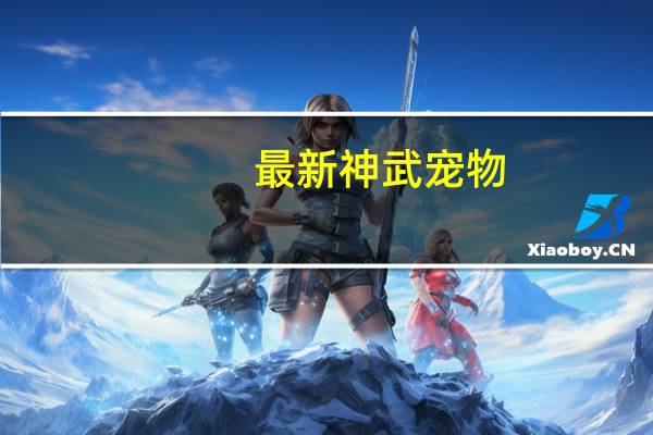最新神武宠物