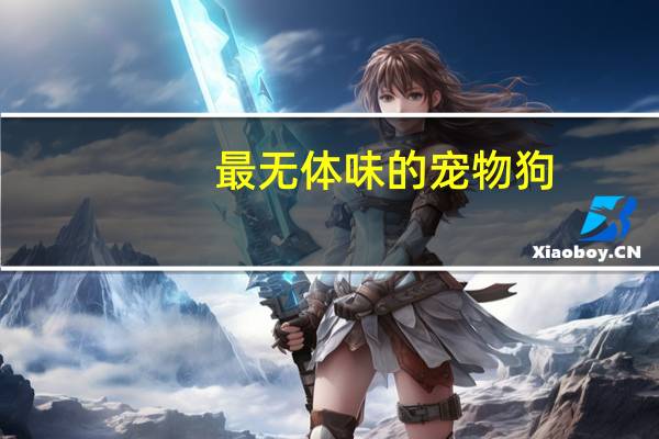 最无体味的宠物狗