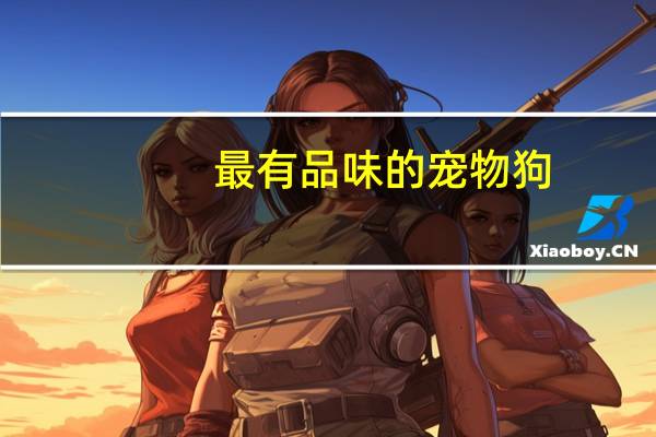 最有品味的宠物狗
