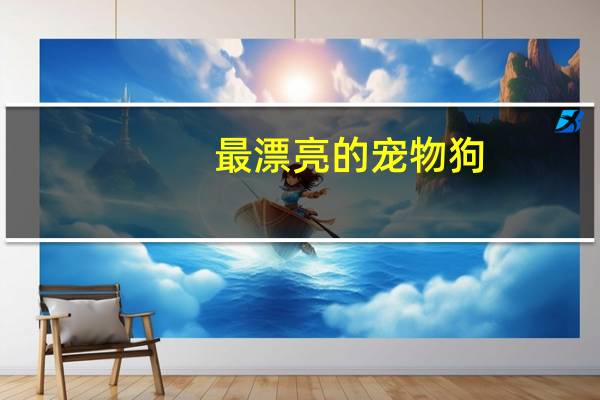 最漂亮的宠物狗