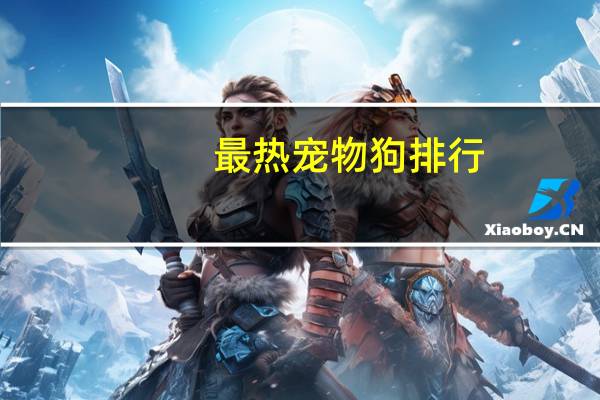 最热宠物狗排行