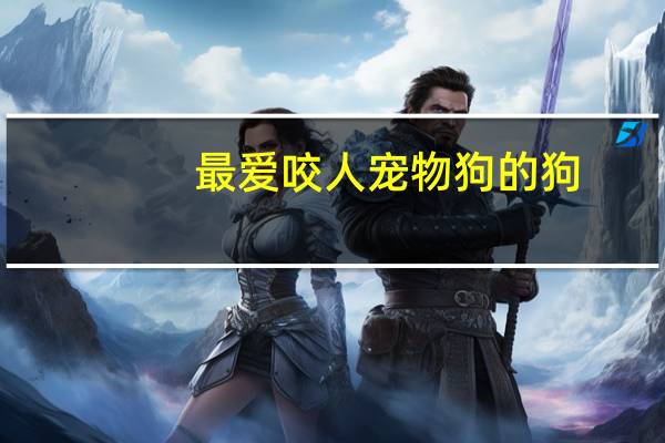 最爱咬人宠物狗的狗