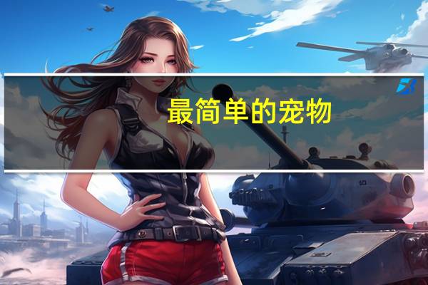 最简单的宠物