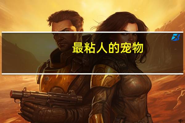 最粘人的宠物
