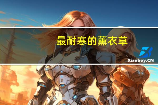 最耐寒的薰衣草