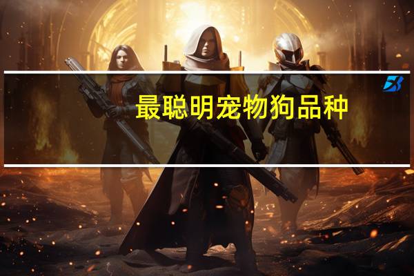 最聪明宠物狗品种