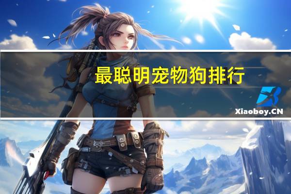 最聪明宠物狗排行