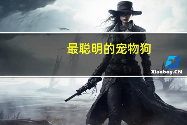 最聪明的宠物狗