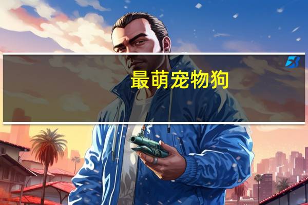 最萌宠物狗