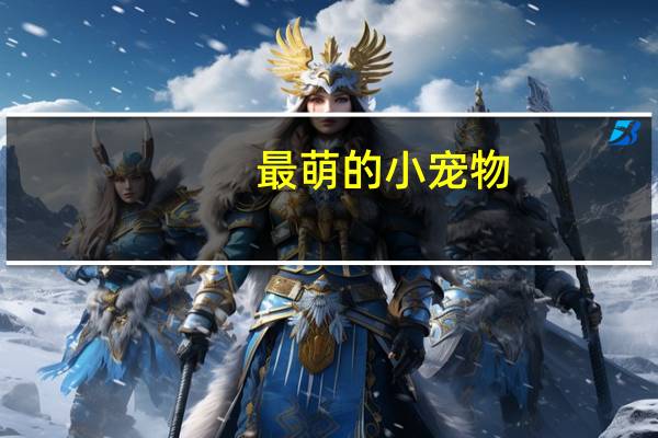 最萌的小宠物