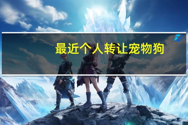 最近个人转让宠物狗
