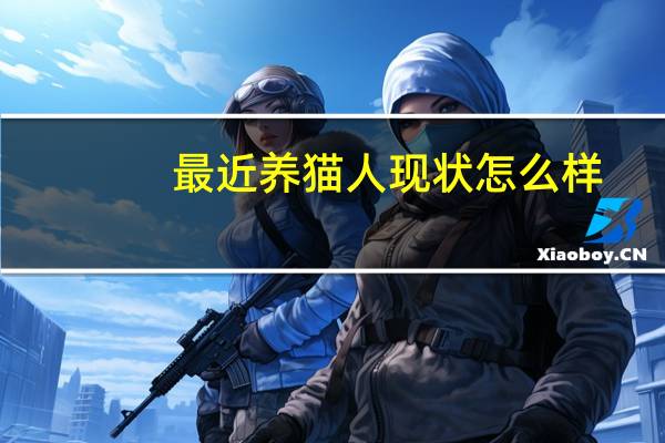 最近养猫人现状怎么样