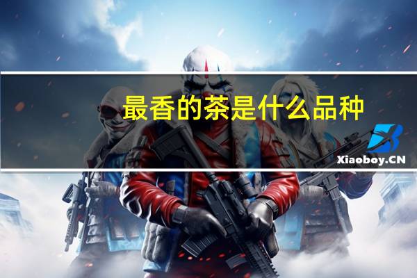 最香的茶是什么品种