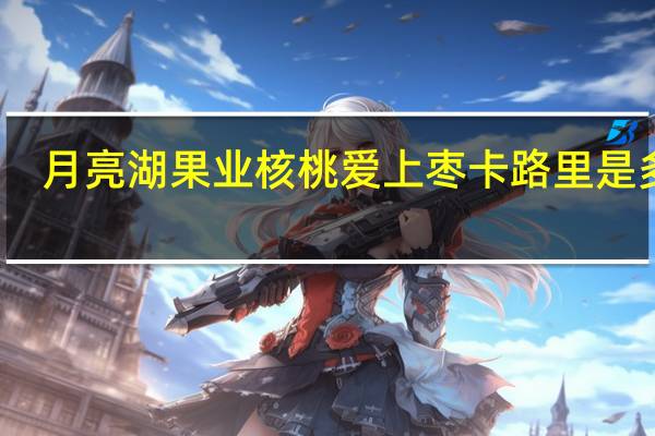 月亮湖果业 核桃爱上枣卡路里是多少
