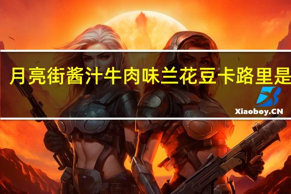 月亮街 酱汁牛肉味兰花豆卡路里是多少