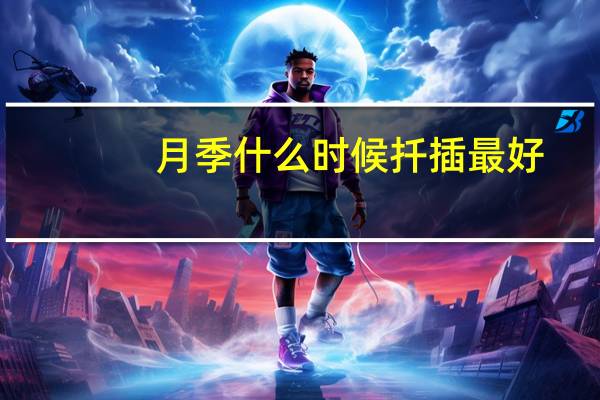 月季什么时候扦插最好