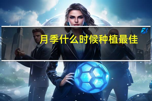 月季什么时候种植最佳