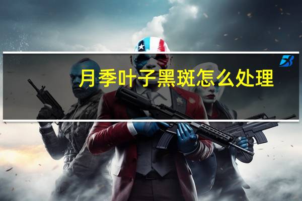 月季叶子黑斑怎么处理