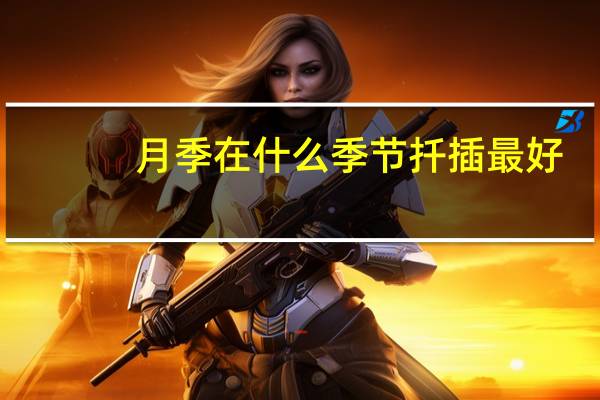 月季在什么季节扦插最好