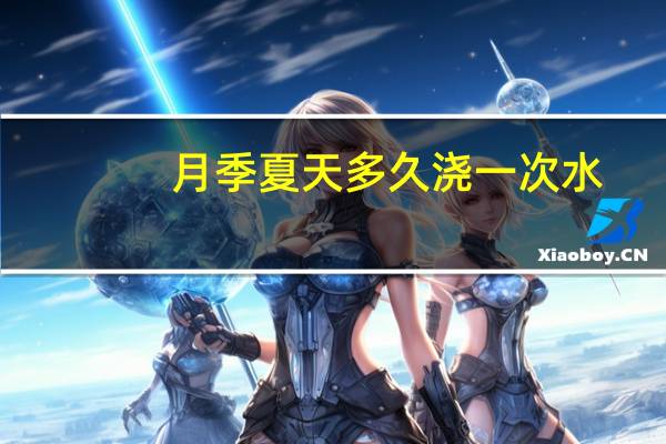 月季夏天多久浇一次水