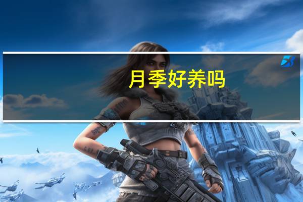 月季好养吗