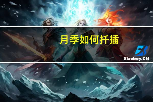 月季如何扦插